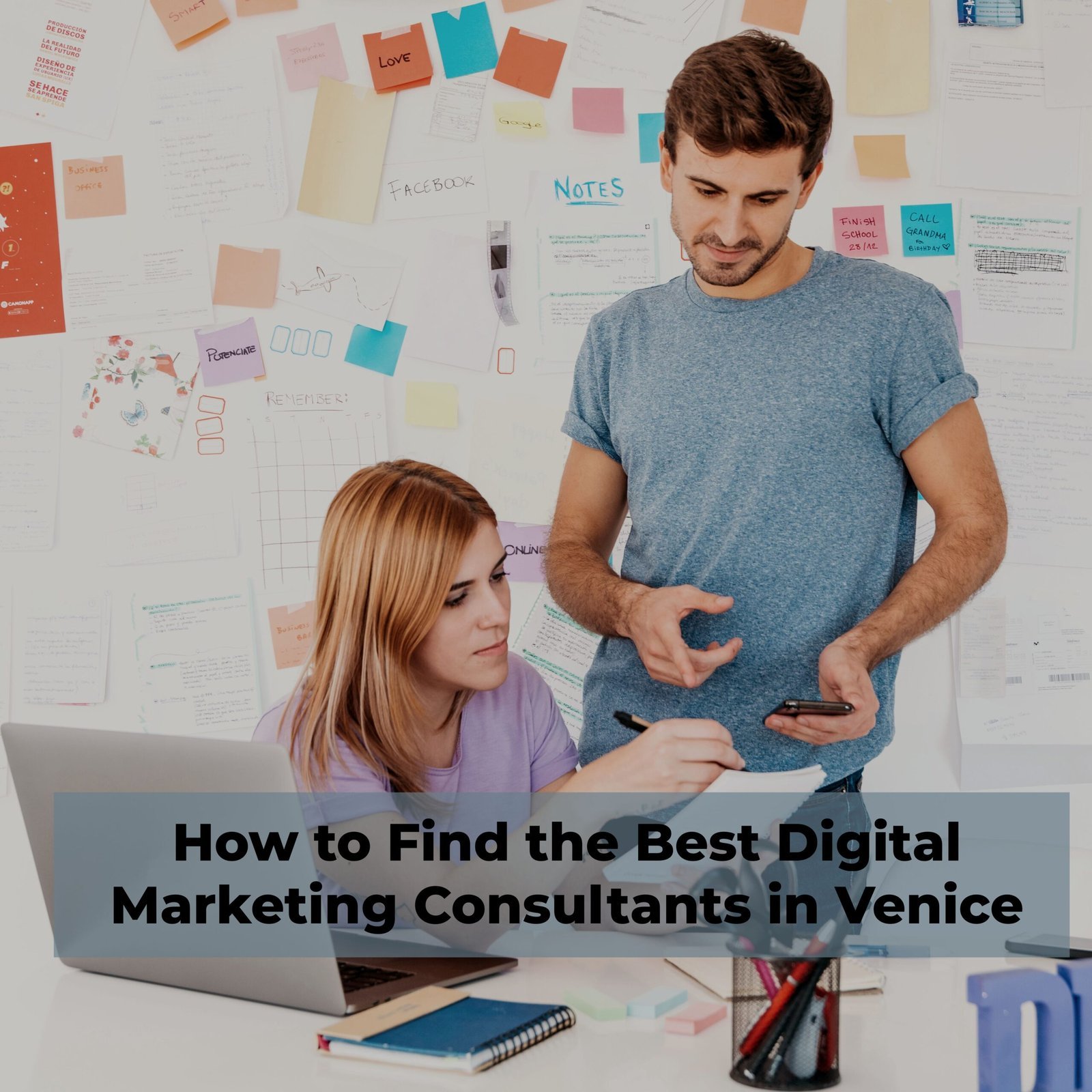 Best Digital Marketing Consultants In Venice